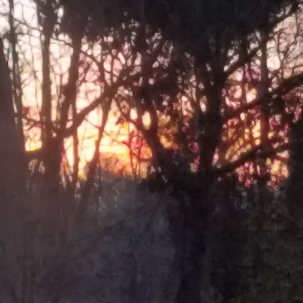 Meet your Posher, Traci